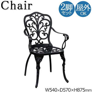 yz 2rZbg Op `FA It A~`FA JtF`FA K[f AEghA O 54cm 42cm _CLXg ͗l ubN SS-0014
