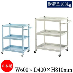 yz c[S  TChS ^J[g 60cm s40cm 81cm 3i ω׏d100kg AC{[ u[ TD-0015