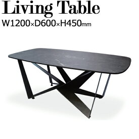 リビングテーブル センターテーブル ローテーブル 角型 四角 長方形 角丸 セラミック天板 スチール脚 幅120cm TN-0187