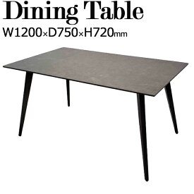 【室内搬入サービス付】 ダイニングテーブル 食卓 4人用 角型 四角 長方形 セラミック天板 スチール脚 幅120cm TN-0197