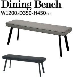 ダイニングベンチ 食堂椅子 長椅子 2人用 スチール脚 ビニールレザー張り 幅120cm 黒 灰色 TN-0215