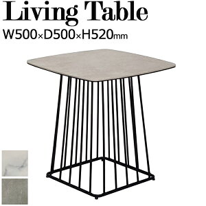 y@lz rOe[u TChe[u [e[u ԑ p^ lp ` p Z~bNV X`[r 50cm TN-0219