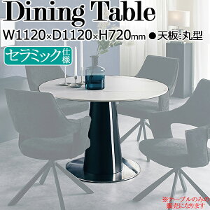 yT[rXtz _CjOe[u H  4lp ی^ ~` Eh Z~bNV Z^[r X`[r 112cm Ζڕ zCg O[ TN-0249