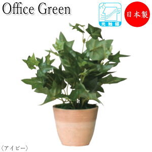 y@lz y{/Ɩpz tFCNO[ lHA O[|bg ~jA 23cm ݂ǂ  bNX ACr[ UT-0422