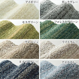 （お買い物マラソン）ラグ ラグマット 1.5畳 子供部屋 滑り止め オールシーズン おしゃれ カーペット 滑り止め付き 長方形 年中 ふわふわ 防ダニ 防音 140×200cm ラグマット 北欧 小さめ フロアマット 防炎 マット クッションフロア リビング ラグマット