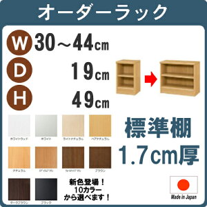 (お買い物マラソン)(標準)幅30 〜 44 奥行19 高さ49cm 2段 日本製 (約 高さ50 約 奥行20cm) 収納棚 本棚 オーダー カラーボックス すきま収納 隙間 薄型収納 狭い部屋 本棚薄型 スリム 薄型 コ