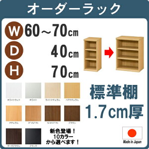 iubNtCf[jiWj60`70s4070cm { [I {I J[{bNX TCY I[_[ I[_[bN I ^  s40cm Ԏ[   zCg   