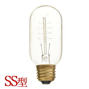 d E26 40W GW\ou gd AeB[N Cg X d dC Q ͗lւ GW\ SS Cg Ɩ  k