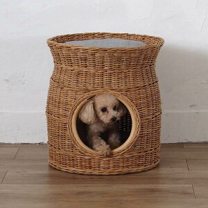 yTSALE/100~OFFN[|zL xbh  ybg xbh CeA oXPbg   ^ AWA i` y  VRf  킢 NbV