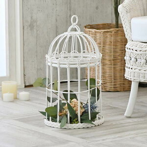 y10/30/ 100~OFFN[|z oXPbg fBXvCoXPbg CeA fiore zCg^  Pn ىƋ AWAƋ AWAG oƋ oG zCg^