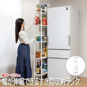 XL}[ Ԏ[ Lb` Ԏ[  I Ԃ XL}[ ԒI ԃXgbJ[ Lb`Ԏ[ X[ ԉƋ XI Lkł邷Ԏ[bN (STCY) sun