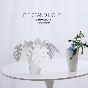 e[uv@PP.Monstera Xe 1Ɩ e[uCg  kn nCA Ԃт M V