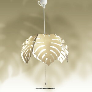 y|Cg2{ 12/11 01:59z y_gCg@PP.Monstera Xe 3Ɩ y_g VƖ kn nCA Ԃт M V