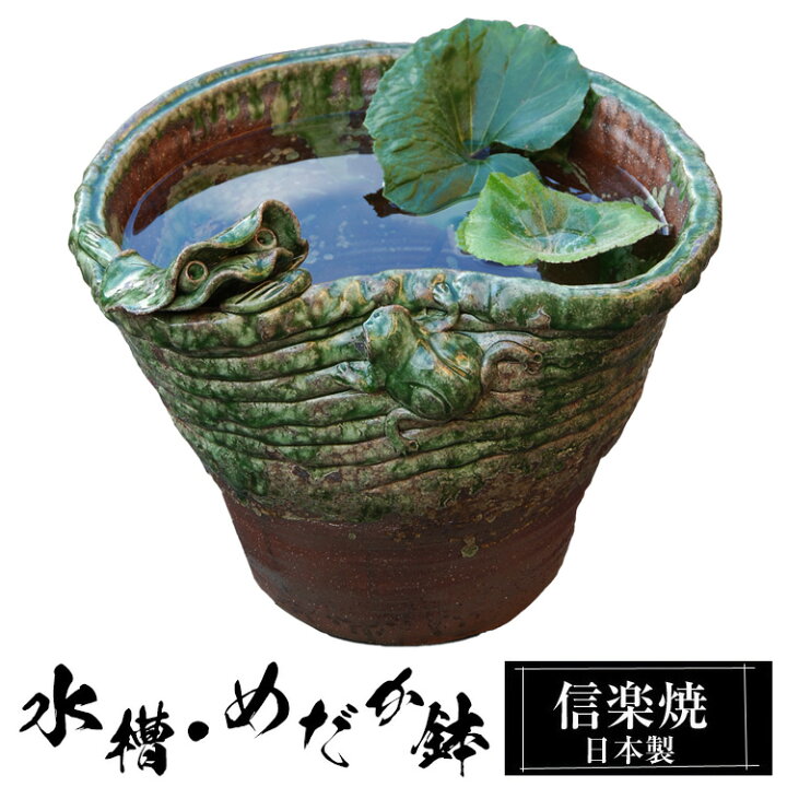 楽天市場】信楽焼 めだか鉢 42.5×41×高さ37cm 陶器 日本製 金魚鉢 