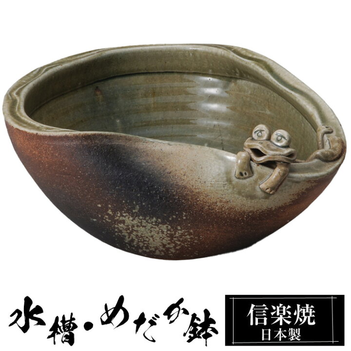 楽天市場】信楽焼 めだか鉢 34×高さ16cm 陶器 日本製 金魚鉢 メダカ 鉢 