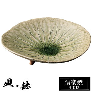 yN[|ōő10OFFz My  20.5×19.5×5cm  { a   uh  aH H  M M   M  킢 蕨 Mtg V v[g 