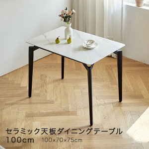 _CjOe[u Z~bN V X`[r 100cm e[u Pi lp ` 嗝 Ζڒ Xg[ pe[u ؖ zCg    _ 󒍐Yi