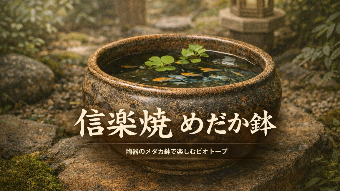 楽天市場 | ファニチャーワールド - 信楽焼 めだか鉢｜陶器のメダカ鉢 
