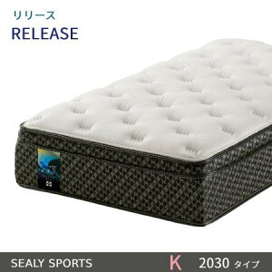 yV[[xbhK̔Xz@V[[X|[c@[X@NB[OTCYiKLj}bg2030^Cv