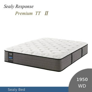 yV[[xbhK̔Xz@V[[X|X v~A TT2@}bgXP̂̂݁@Ch_uTCYiWDj