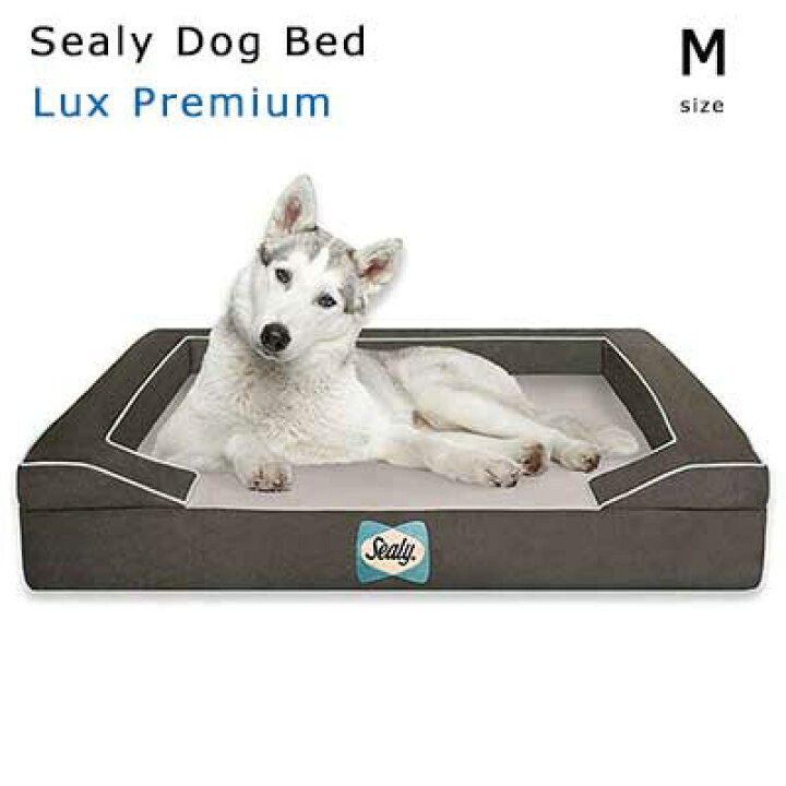 楽天市場】【Sealy Dog Bed】 Lux Premium ラックスプレミアム （M 