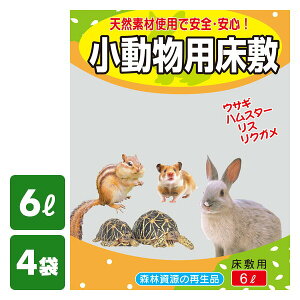 p ɂƂ鏰~6L×4 nX^[ bg tFbg X  ETM ~   헤H yz