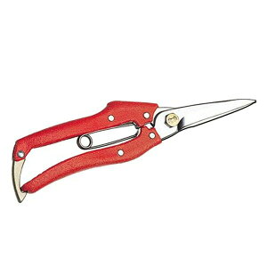  v200 200mm ԕ N-205R ΂    | } |n jVKLH yz