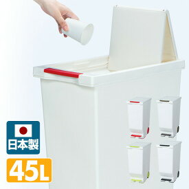 スライドペダルペール 45L ごみ箱 ふた付き 日本製 ゴミ箱 ダストボックス くず入れ ふた付き 45L 45リットル ペダル式 平和工業 【送料無料】