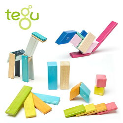 tegu(テグ) マグネットブロック 磁石 知育玩具14ピース 対象年齢1歳から TYTU00301/02/03 おもちゃ クリスマス 誕生日 赤ちゃん ベビー 木製 天然木 木のおもちゃ マグネット 磁石 ごっこ遊び 1歳 男 女 積み木 つみき 【送料無料】