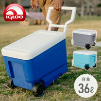 楽天市場】クーラーボックス igloo 38lの通販