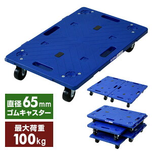 A SLX^[ ω׏d100kg 60 s40cm 1/4/8 NTR-G65NB { É A A ƒp z[L[ L[J[g  NITTO yz