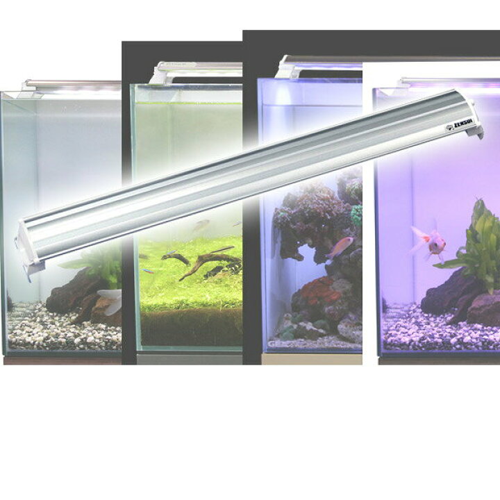 楽天市場 Ledランプ 60cm 水槽用 照明 ライト 水槽用照明 Ledライト 鑑賞魚 熱帯魚 アクアリウム アクセサリー ゼンスイ 送料無料 ｅ家具スタイル