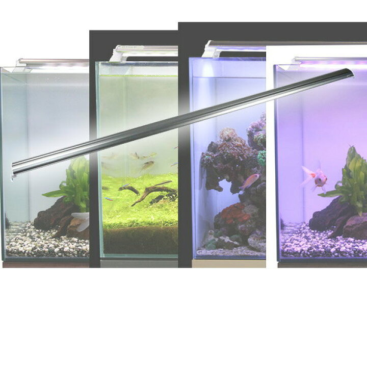 楽天市場 Ledランプ 180cm 水槽用 照明 ライト 水槽用照明 Ledライト 鑑賞魚 熱帯魚 アクアリウム アクセサリー ゼンスイ 送料無料 ｅ家具スタイル