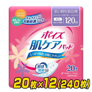 |CYPApbh Sp M[izʖڈ120ccj 20×12(240) zivL ɂ傤pbh A AR ARpbh Apbh A ̃V[g {