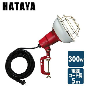 300W Ɠ() OhJ^ R[h5m RCY-305 @ Ɩ Cg q Lv Ə n^ HATAYA yz