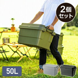 スタッキングトランクカーゴ 50L (2個セット) TC-50S座れる 収納ボックス 収納ケース コンテナボックス おしゃれ ハードケース ハードボックス 蓋付き ふた付き フタ付き コンテナボックス トランクボックス 車載 おしゃれ リス RISU 【送料無料】