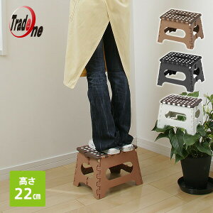 ݑ ܂肽  22cm 1i ZmEr[ 10055 Xebvݑ r ֎q y RpNg g[h yz