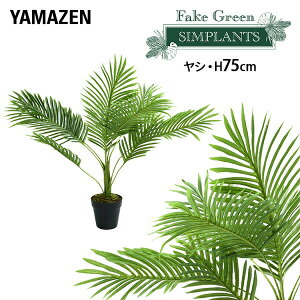 �t�F�C�N�O���[�� ���V ����75cm FG-ARECA75 �l�H �O���[�� �ϗt�A�� �t�F�C�N ���� �A�� �� ���A�� ���A�� �i�`������ �C���e���A ������� �����s�v �͂�Ȃ� �I�t�B�X �y���������z �R�P/YAMAZ