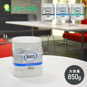 L L r[Y^Cv { Ɩp e 850g L r[Y  ItBX ڎ c gC Xߎ GgX GXe[PRO yz