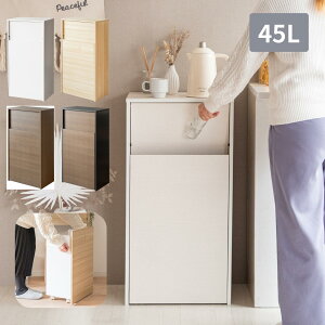 B S~ 45bg  45 s29.5 90cm LX^[t  45L Lb` rO o ݔ LX^[ o h[ _Xg{bNX e {쏊 y