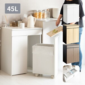 B S~ 45bg 2 o 60 s42 80cm LX^[t  45L Lb` rO o ݔ LX^[ o h[ _Xg{bNX e W 