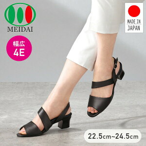 ̃vl yȍזT_ q[4.5cm 4E 22.5`24.5cm ubN { b L O ₷ ɂ Eɂ ėp T_ C V[Y    C