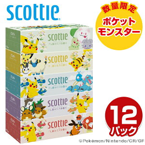 XRbeB eBbVy[p[ t[{bNX 500(250g)ʌ |Pdl 5×12pbN(60) scottie eBbV eBV[ e  RpNg { |PbgX^[ 