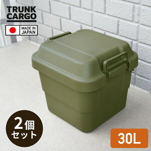 トランクカーゴ 座れる 収納ボックス 収納ケース コンテナボックス おしゃれ 30L 2個セット TC-30 ハードケース ハードボックス 蓋付き ふた付き フタ付き コンテナボックス トランクボックス