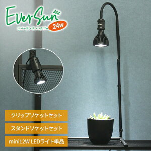 A琬Cg EVERSUN365 24W Nbv/X^h/Cg Zbg̔ EVERSUN365 A琬 LEDCgv X^h Ɩ ϗtA A k͔| eE򍪐A T{e MѐA C