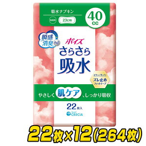|CY 炳z zivL 40cc  {22×12(264) zCi[ ̃V[g peBCi[ peB[Ci[ ARpbh Apbh AR A P[X
