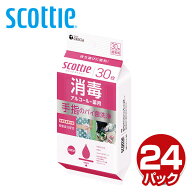 スコッティ ウェットティッシュ 消毒 アルコールタイプ 指定医薬部外品30枚×24パックscottie ウェットタ…