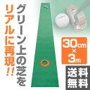 エンプレイス(nplace) パター練習マット「GoodPat」(30cm×3m) 3way専用ホールカップ付 GPM-W30 パターマット 順目逆目 ゴルフ ... ランキングお取り寄せ