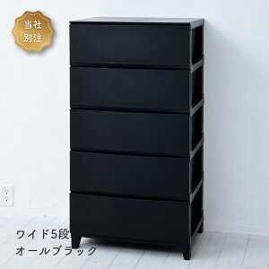 `FXg ߑP[X [P[X 3i/4i/5i X/Ch 34/54 s42  68/87.5/107cm [X h[`FXg [{bNX o ^X vX`bN l炵 ʏ [ 