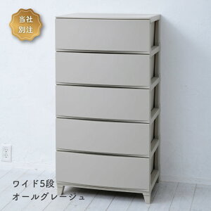 `FXg ߑP[X [P[X 3i/4i/5i X/Ch 34/54 s42  68/87.5/107cm [X h[`FXg [{bNX o ^X vX`bN l炵 ʏ [ 